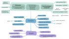 synthese_schema_paradoxes1.png